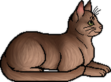 Tigerstar (TPB), Warriors Wiki, Fandom