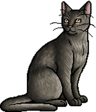 ShadowClan, Warrior Clan Cats Wiki