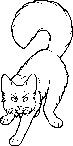 Guess that cat based off the oddly designed Warriors Wiki sprite! :  r/WarriorCats