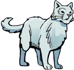 Beautiful Now, whitewing, cloudtail, brightheart, ashfur, warrior