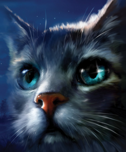 Mistyreed as a warrior cat