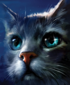 The four (six) cats chosen by StarClan meet Midnight!!!