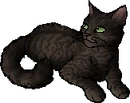 Volestar.star.png (22 KB) StarClan Version