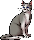Waspwhisker.warrior.png (25 KB) Warrior Version