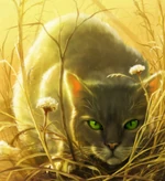 Dovepaw was the only apprentice on their mission.