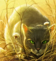 Looking after Stalk Purr's kits helps Dovewing with her grief for Rowankit