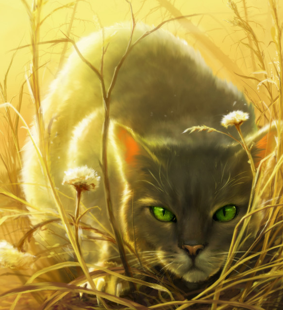 Tigerstar (AVoS), Warriors Wiki