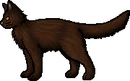 Fox.rogue.png (17 KB) Rogue Version
