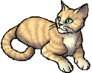 StarClan Version