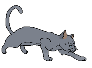 Bluucz.png (15 KB) StellaBlu - versione apprendista