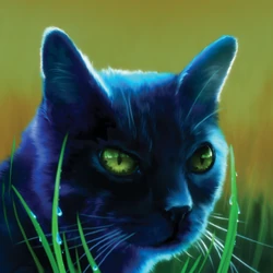 Following his heart as a warrior, Ravenpaw developed a plan to help defeat the kittypets terrorizing SkyClan