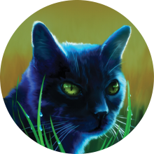 Warrior Cats - Ravenpaw:. — Weasyl