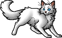 Snowfur [Warrior - Cats] by ~Akatsu -- Fur Affinity [dot] net
