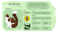 Sunbeam's Warriors website fact sheet for A Starless Clan