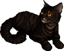 StarClan Version