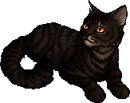 Tigerstar (AVoS).star.png (19 KB) StarClan Version