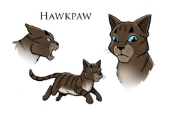 Absolutely losing my mind at this pixel art of Hawkfrost from the Warriors  Wiki : r/WarriorCats