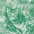 Tigerstar in The World of Erin Hunter Educator's Guide