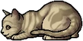 Dawnpelt.kit.png (15 KB) Dawnpelt.kit