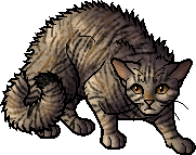 Leafstar, Warriors Wiki