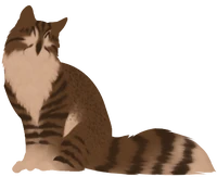 Owlnose was originally chosen by Frostpaw to become RiverClan's leader