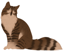 Owlnose.silhouette