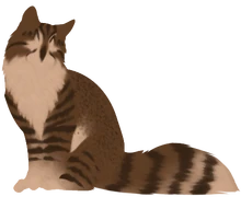Owlnose decided not to receive his nine lives, saying he did not think he could lead RiverClan in the right way.