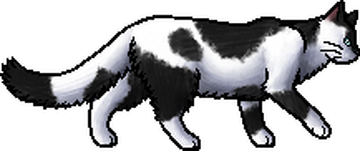 warrior cat designs — Ravenpaw Loner “Oh, Barley. You know me so