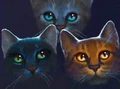 Alternate artwork of Lionblaze on the cover of The Sight