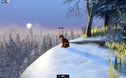Frozen Forest2.screenshot