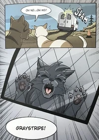 Graystripe captured by Twolegs.