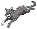 Squirrelstar.SE-12.png (129 KB) Squirrelstar in Squirrelflight's Hope