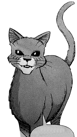 Bluestar  Warrior cats art, Warrior cats books, Warrior cat drawings