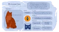 Rowanclaw.Website8.png (2.04 MB) Rowanclaw's Warriors website fact sheet for A Vision of Shadows