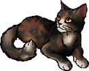 StarClan Version