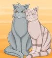 Graystripe on the cover of Warrior's Return