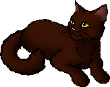 Redtail, Warrior cats Wiki