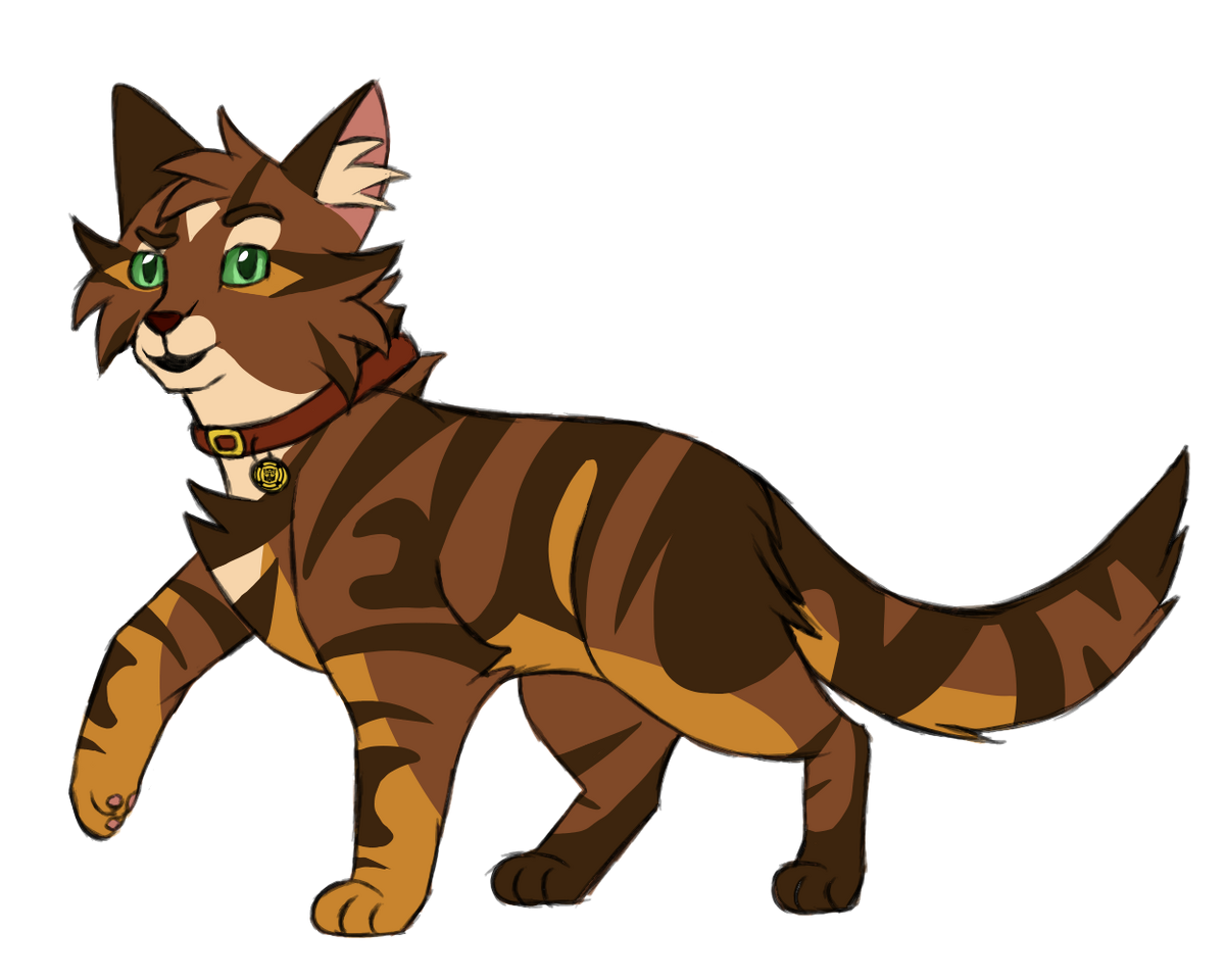 Guess that cat based off the oddly designed Warriors Wiki sprite! :  r/WarriorCats