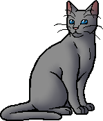 warriors cat stuff — t4wnyclaw: warrior cat wiki says ashfoot is the