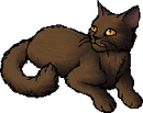 StarClan Version