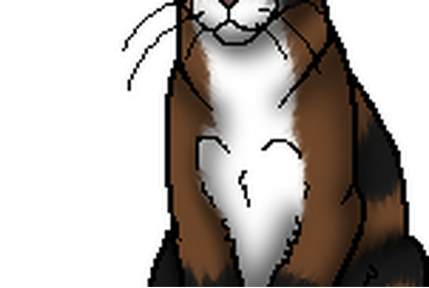 Another Randomized Warrior Cats Wiki Set by TigerLilyStudios on