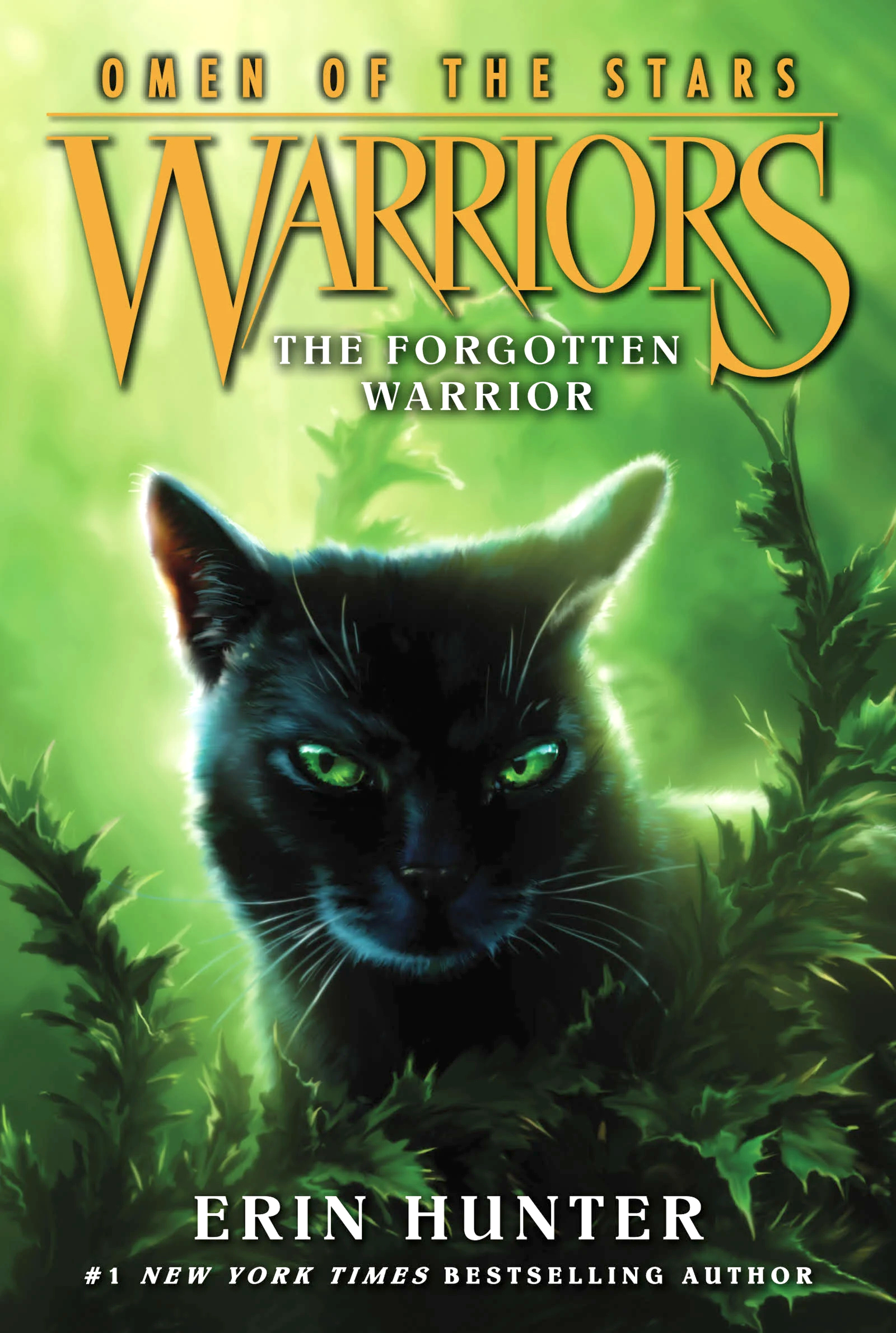 Warriors: The Broken Code #1: Lost Stars eBook by Erin Hunter - EPUB Book