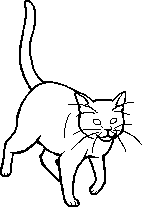 Guess that cat based off the oddly designed Warriors Wiki sprite! :  r/WarriorCats