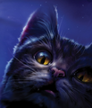 Brambleclaw on the reprinted cover of Midnight