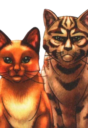Sasha separated from Tigerstar after learning of his horrible deeds.