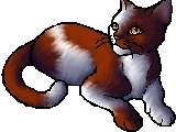 Cherrypaw (Website)