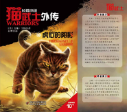Simplified Chinese Language Edition Front flap