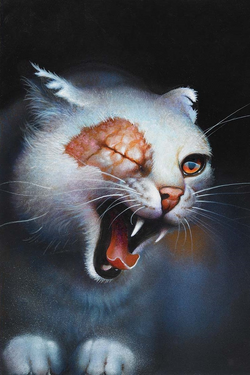 Brightheart Warriors Wiki Fandom Brightheart Warriors Wiki Fandom