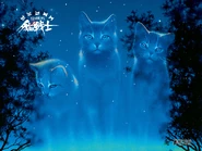 Traditional Chinese Language Edition Textless cover