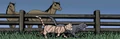 Horseplace.GA.png (269 KB) Horseplace in Graystripe's Adventure